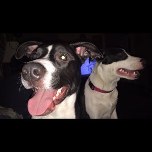 Meet your Posher, Sierra